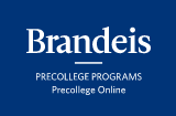 Brandeis Precollege Online Healthcare Programs