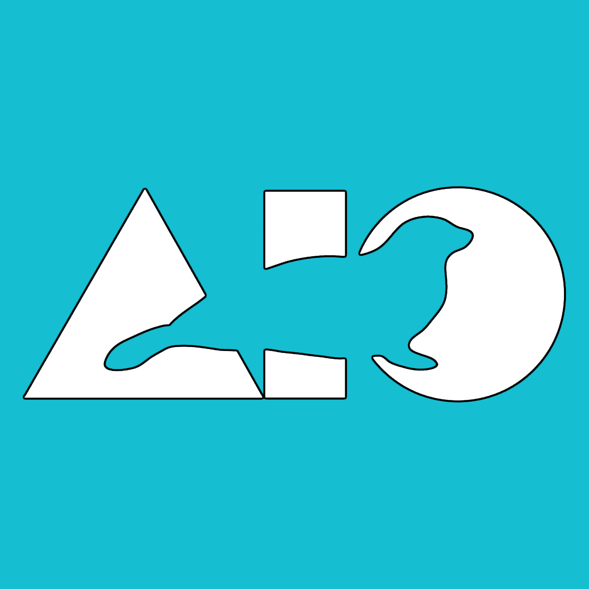 Acadia Institute of Oceanography: Intermediate Program