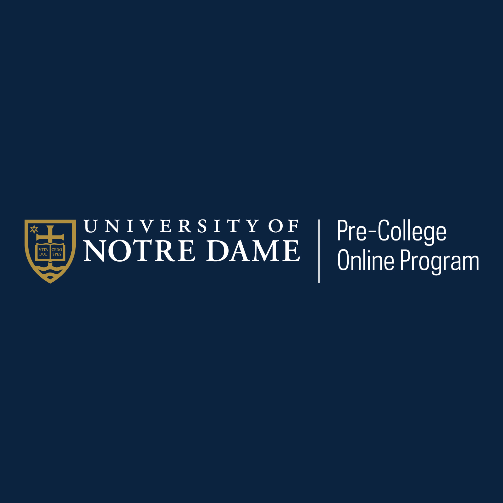 Notre Dame Pre-College Online Business Programs