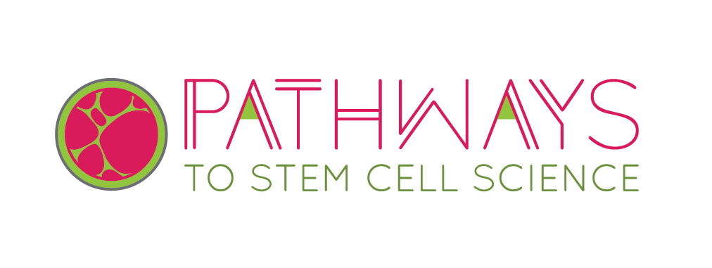 Stem Cell Research Internship