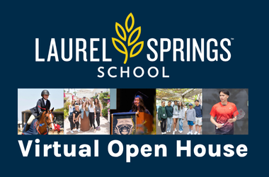 Laurel Springs Virtual Open House 7/31