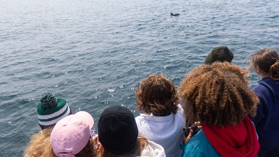 Acadia Institute of Oceanography