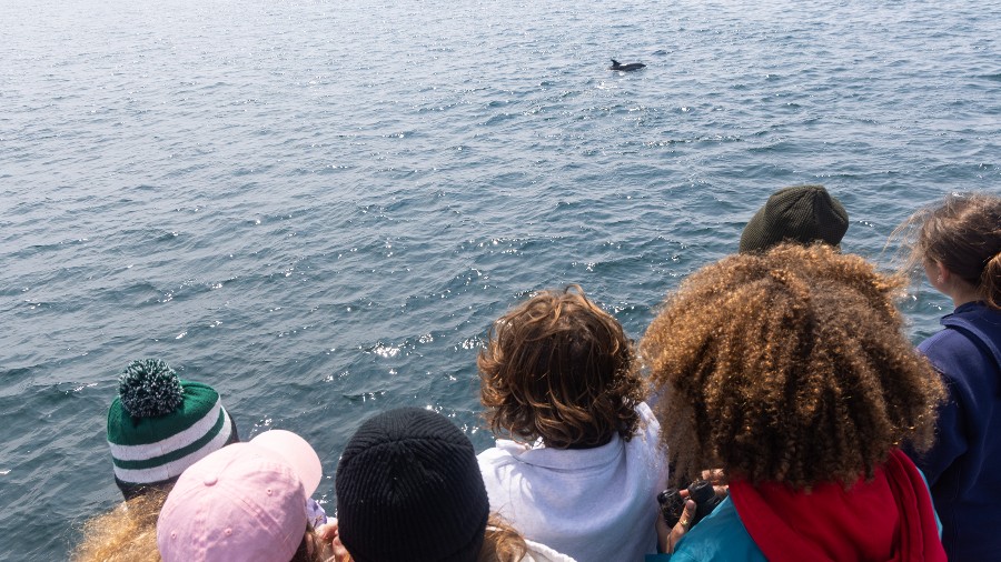 Acadia Institute of Oceanography: Intermediate Program