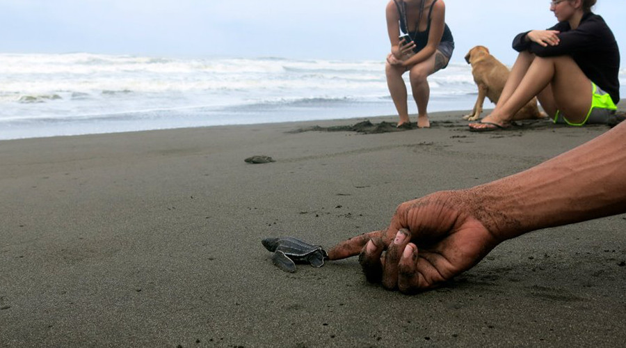 ARCC Programs | Costa Rica: Cloud Forest Initiative