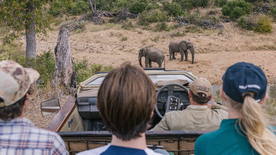 African Conservation Experience