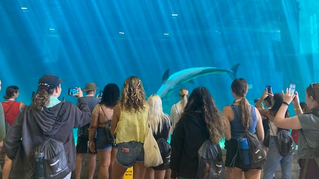 Animal Studies Pre-College at Eckerd