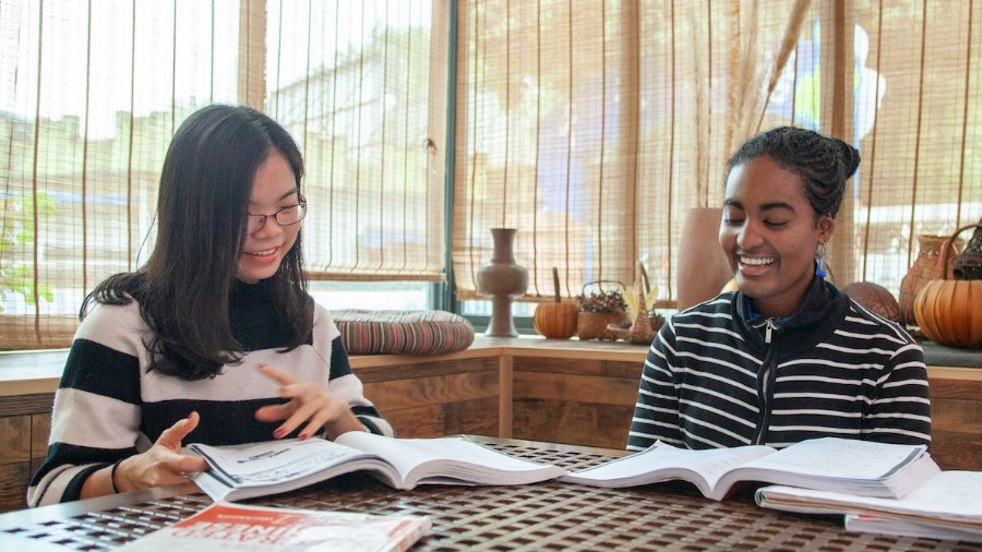Chinese Language Institute