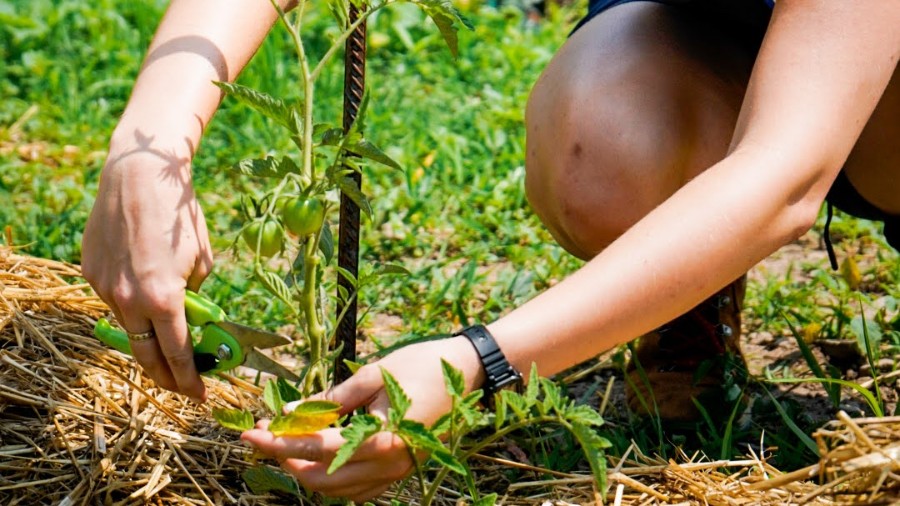 Mission Year | Christian Discipleship and Missions Gap Year