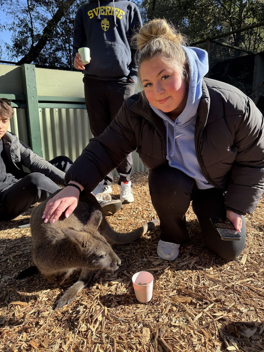 CIEE High School Abroad: Immersion in Australia