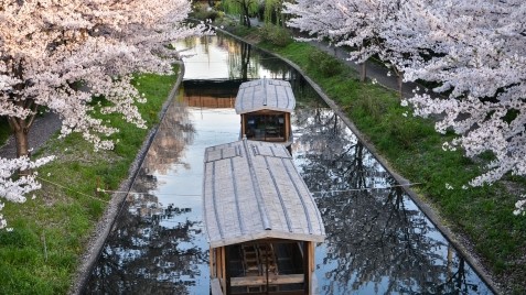 CIEE High School Abroad: Immersion in Japan