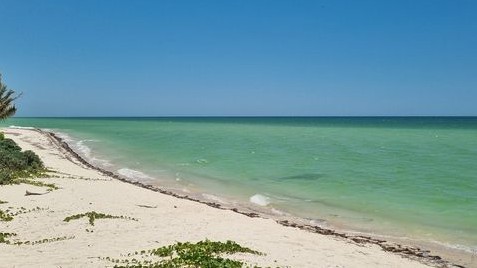 CIEE High School Abroad: Immersion in Mexico
