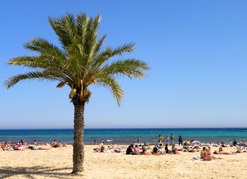 CIEE High School Summer in Alicante, Spain: Culinary Arts