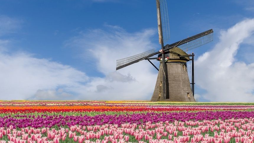 CIEE High School Summer in Amsterdam, Netherlands: Diplomacy & Government