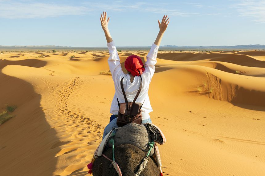 CIEE High School Summer in Rabat, Morocco: Wildlife Conservation