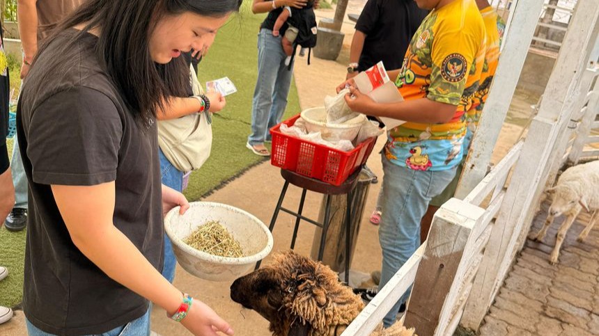 CIEE High School Summer in Singapore: Global Entrepreneurship