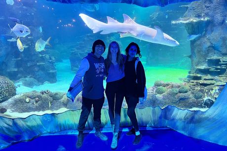 CIEE High School Summer in Sydney, Australia: Global Entrepreneurship