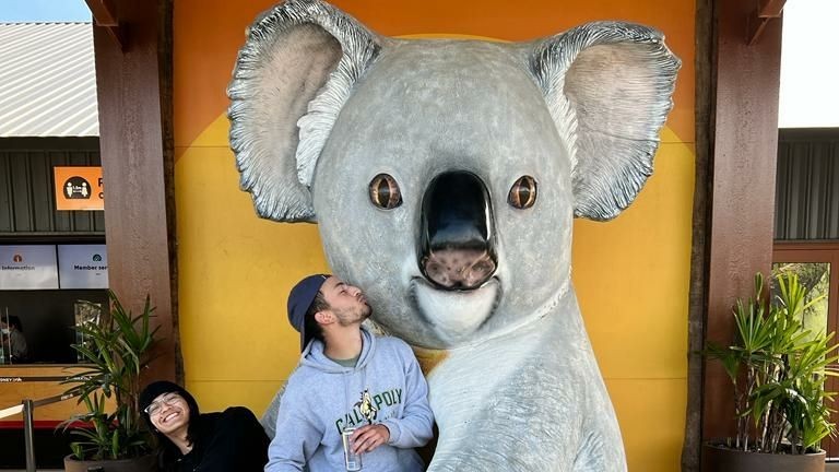 CIEE High School Summer in Sydney, Australia: Wildlife Conservation