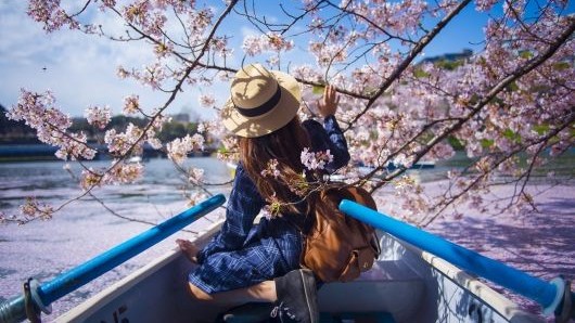 CIEE High School Summer in Tokyo, Japan: Japanese Language & Culture