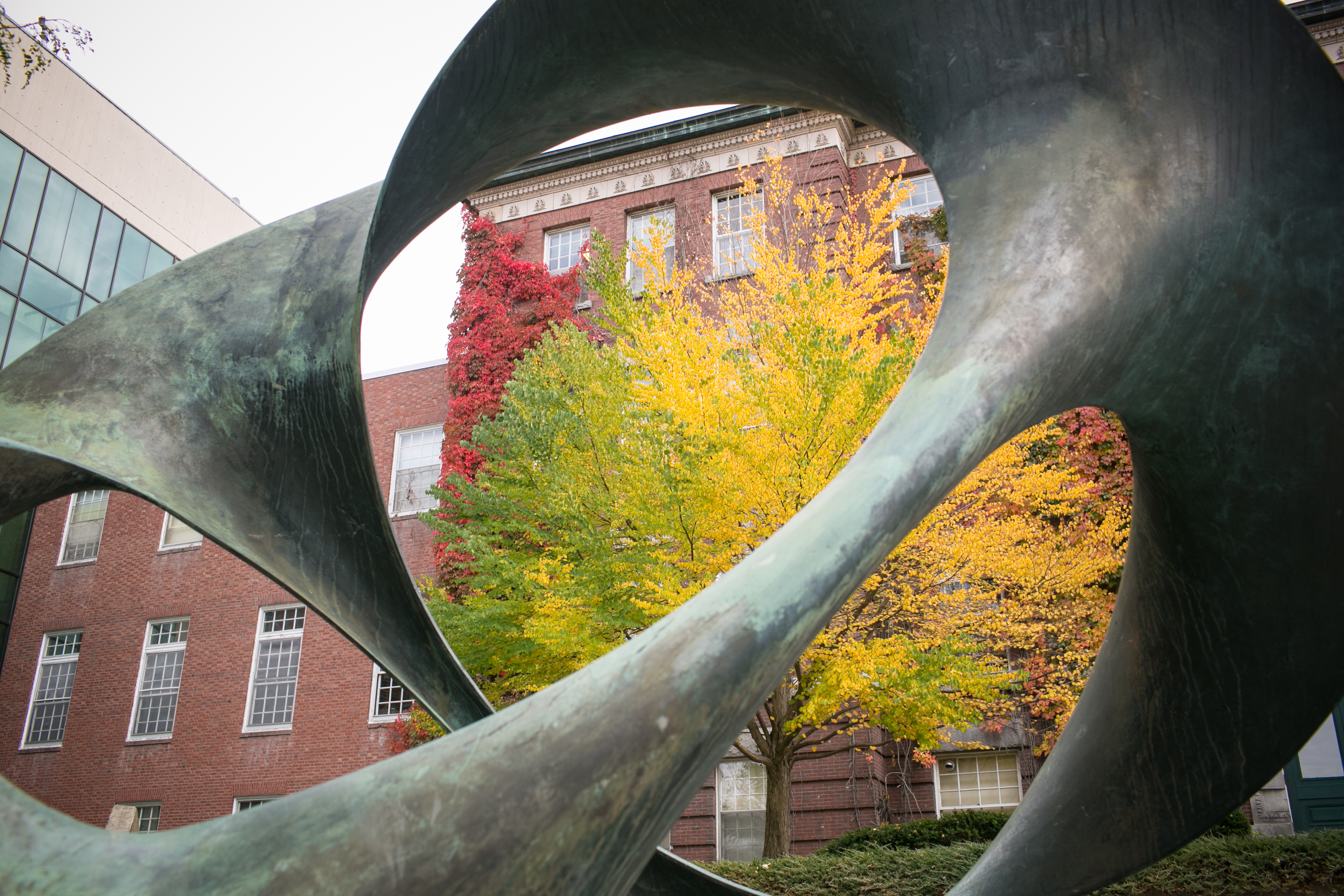 Dartmouth Precollege Online Business Programs