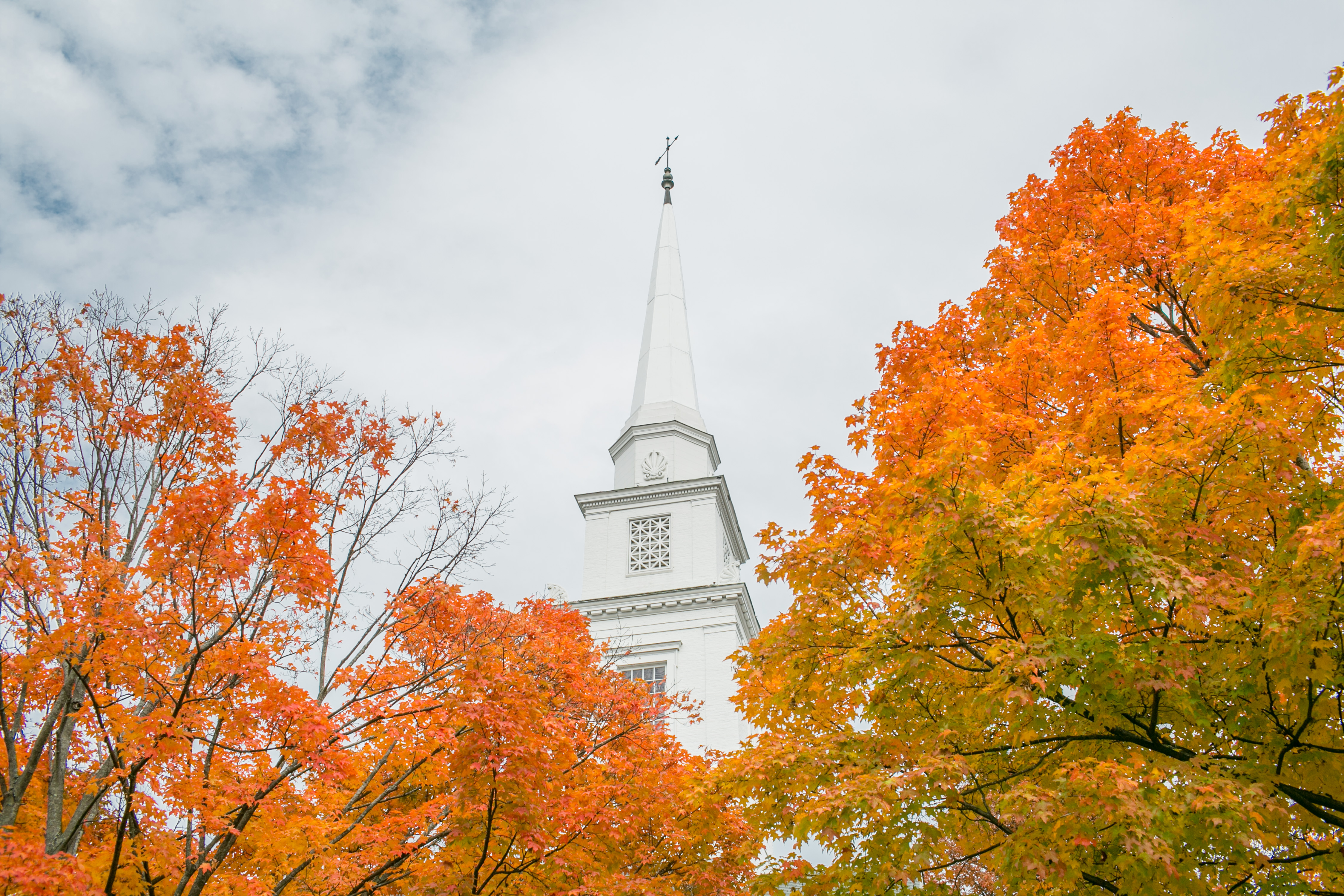 Dartmouth Precollege Online Business Programs