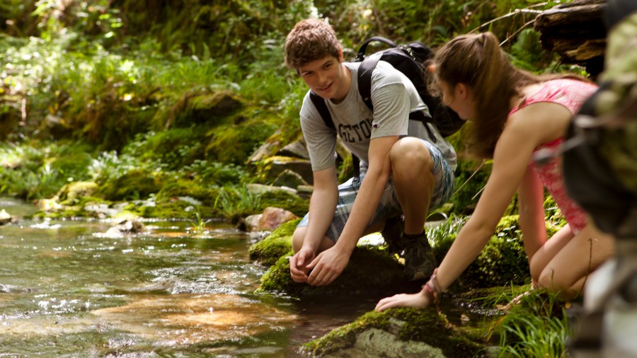 LITA: A Unique Approach to Language Immersion in Spain