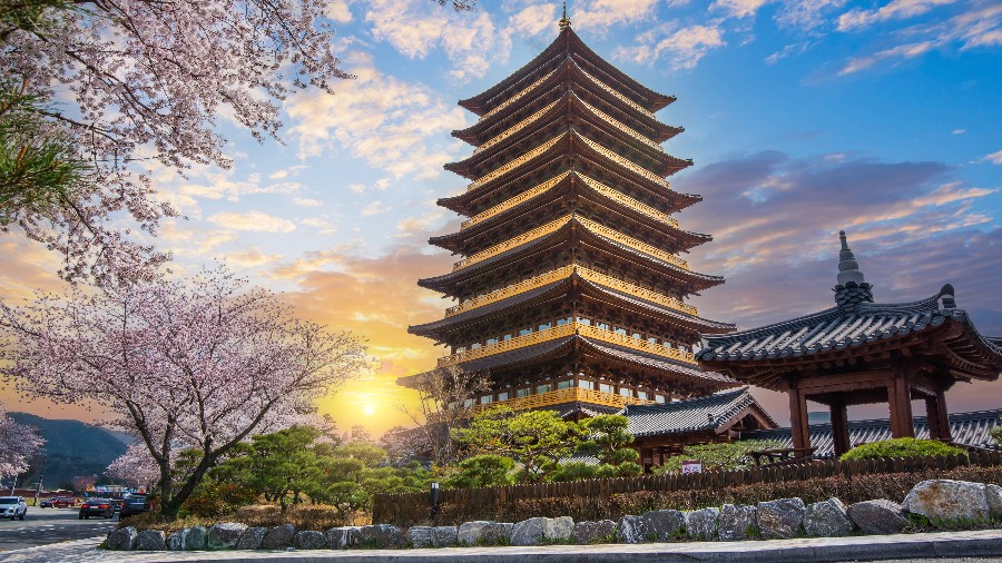 East Asian Odyssey with EF: 12-Week Gap Semester (Seoul and Tokyo)