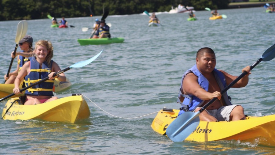 Coastal Wildlife and Ecology Pre-College at Eckerd