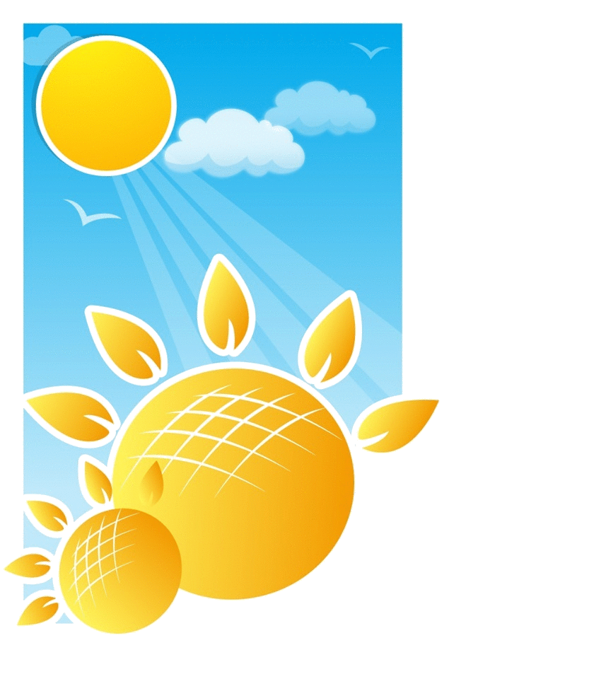Shining Future