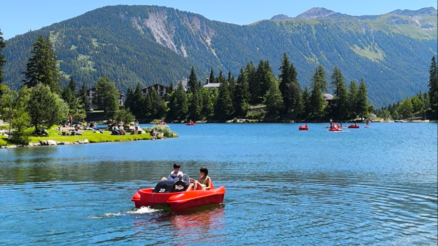 friLingue St. Bernard Summer