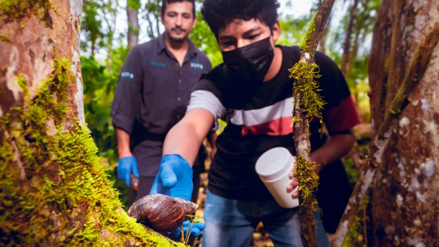 ECOS Foundation: Galapagos Academic Expeditions