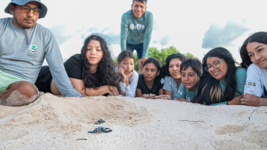 ECOS Foundation: Galapagos Academic Expeditions