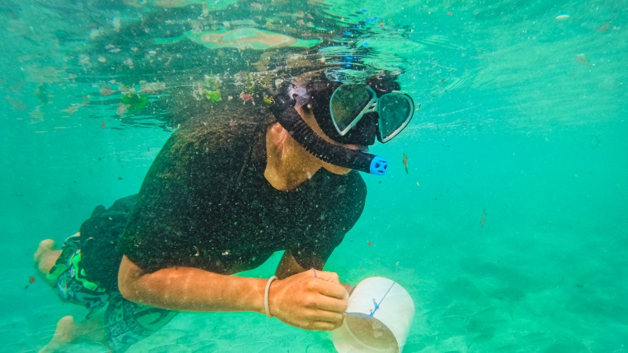 Fundaci’on ECOS: Academic Expeditions & Conservation Service