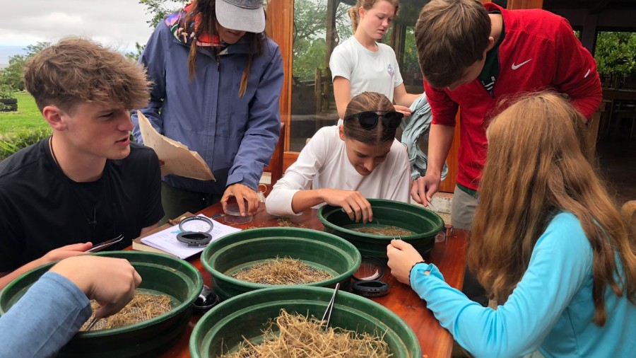 Fundaci’on ECOS: Academic Expeditions & Conservation Service