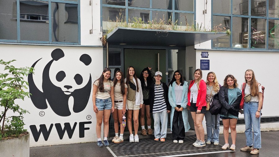 Make The Change:  Gaia Changemaker Programs