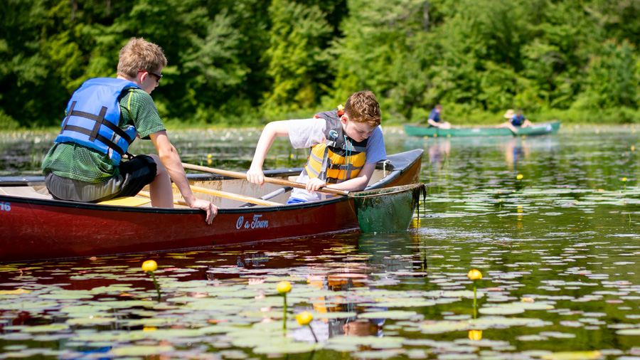 Mass Audubon: Wildwood Camp
