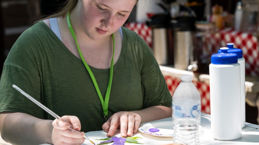 Missouri S&T Summer Camp: Art in the Outdoors