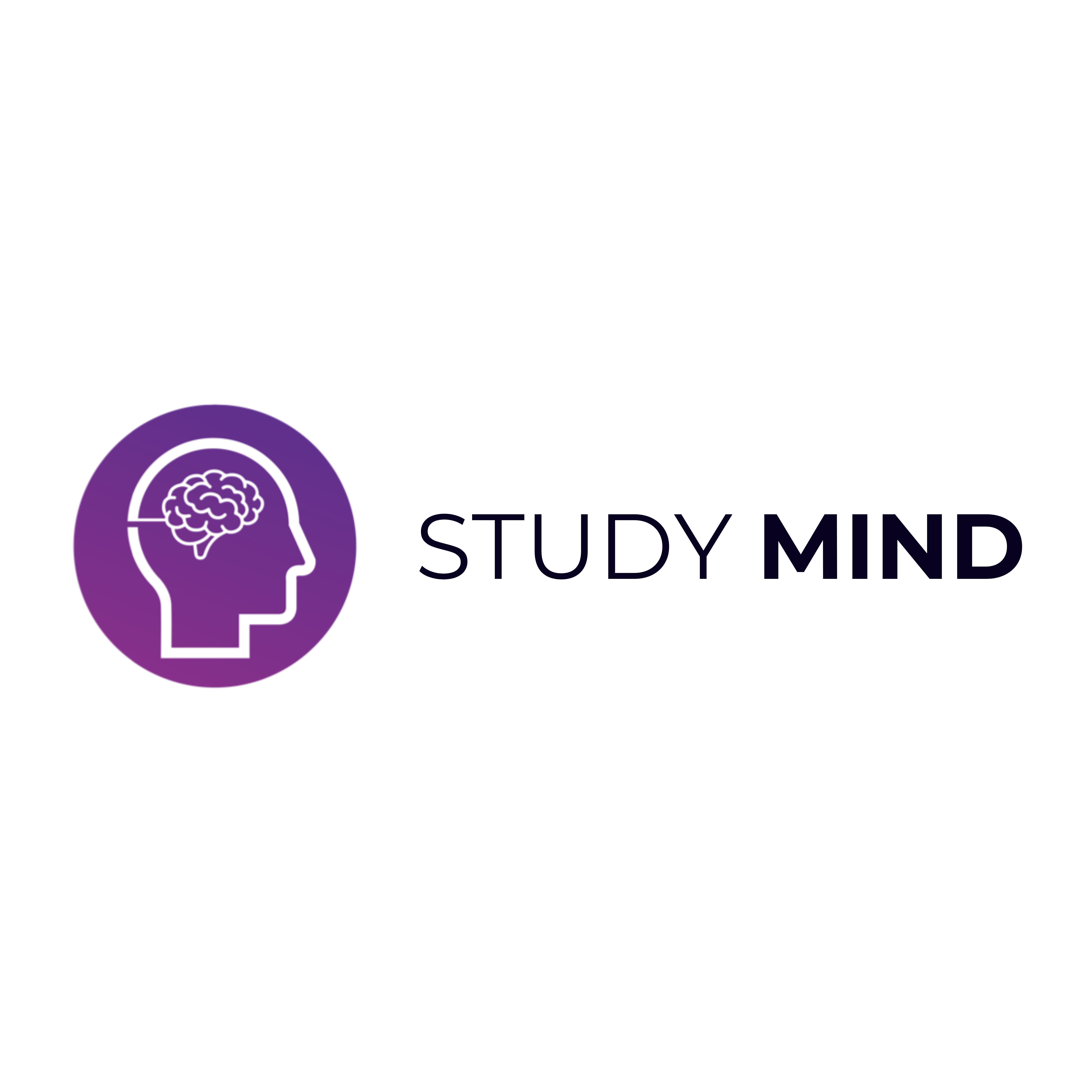 Study Mind: International Law Career Camp