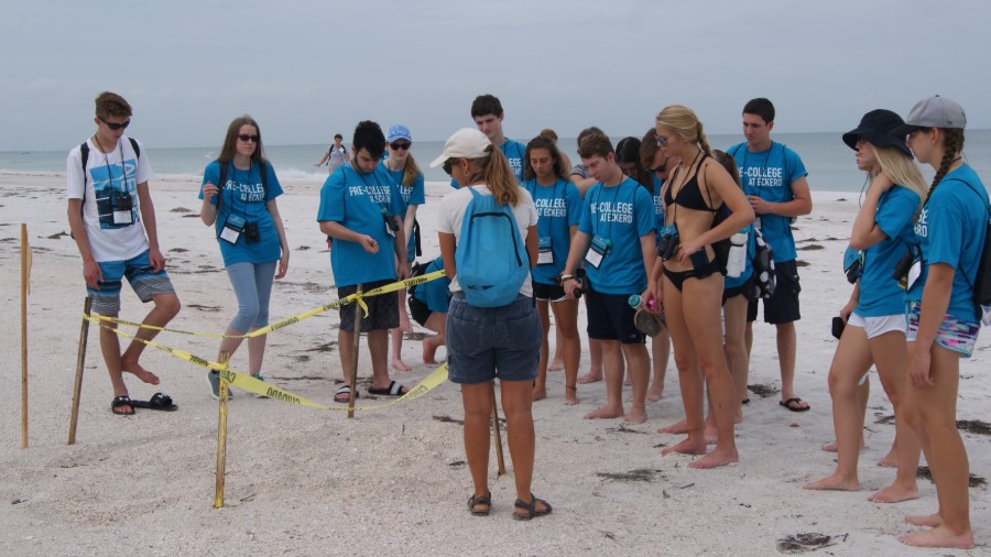Marine Science Pre-College at Eckerd