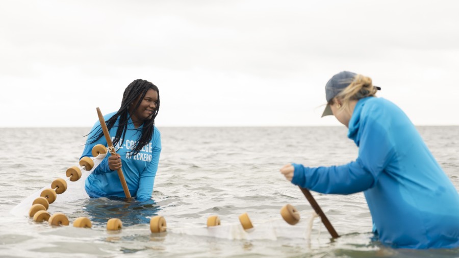 Marine Science Pre-College at Eckerd