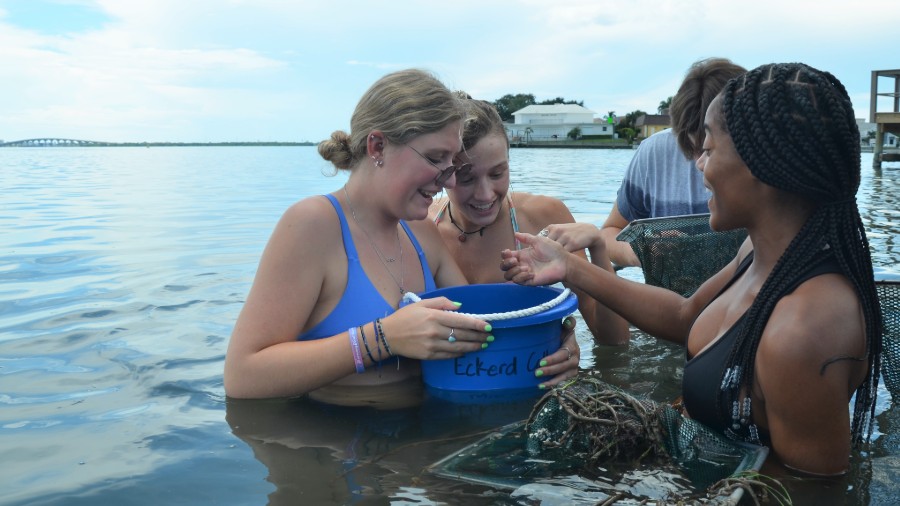 Marine Science Pre-College at Eckerd