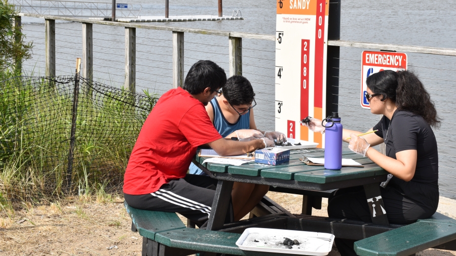 Sarah Lawrence Summer Precollege Programs