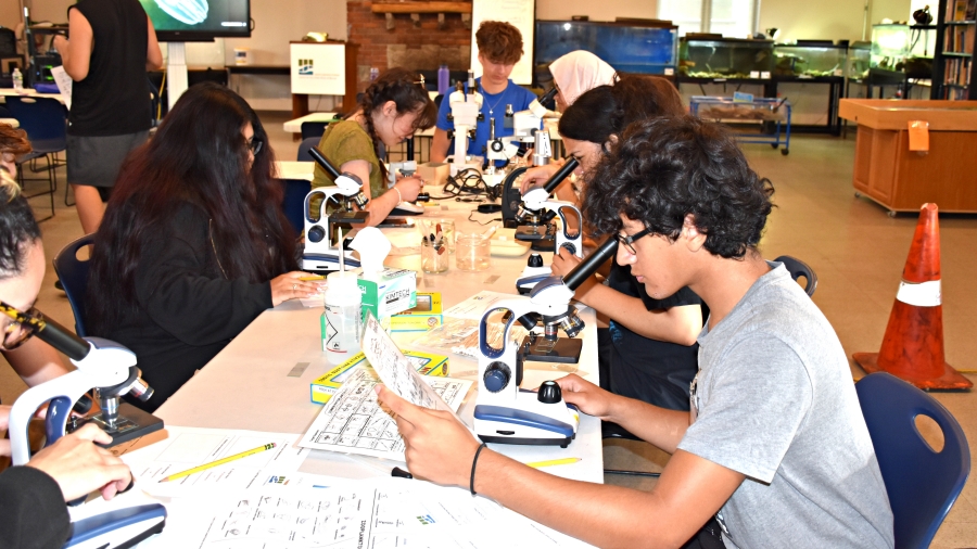 Sarah Lawrence Summer Precollege Programs