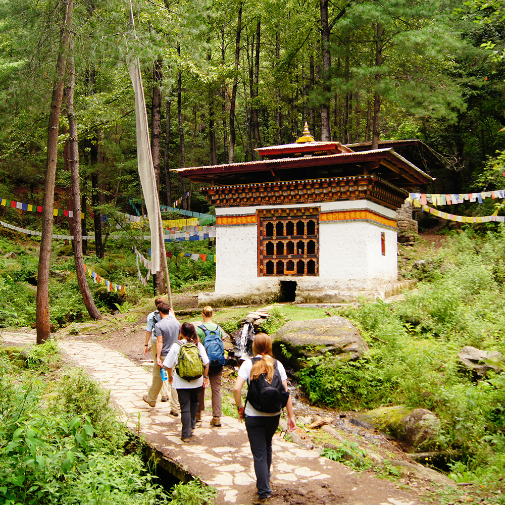 The school for field studies sfs teenlife