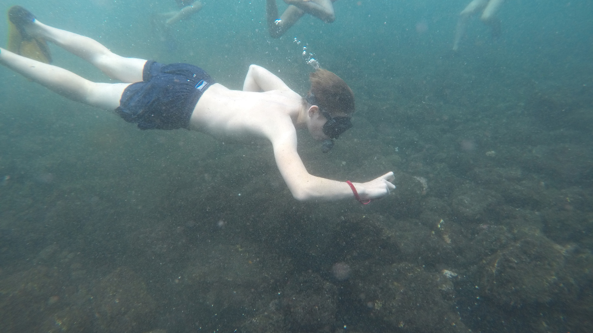 Summer Program Science Camps of America Land and Sea Camp on TeenLife