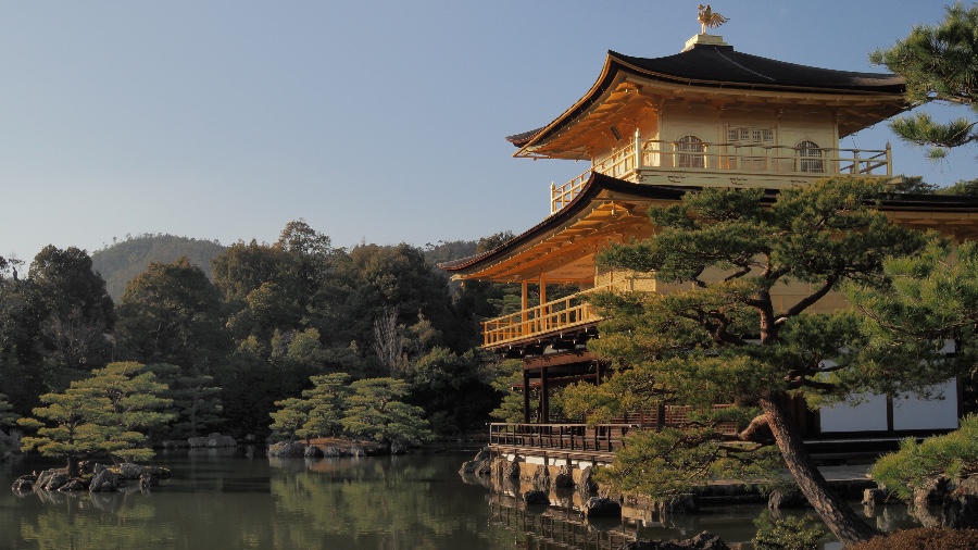 Sea Star Explorations