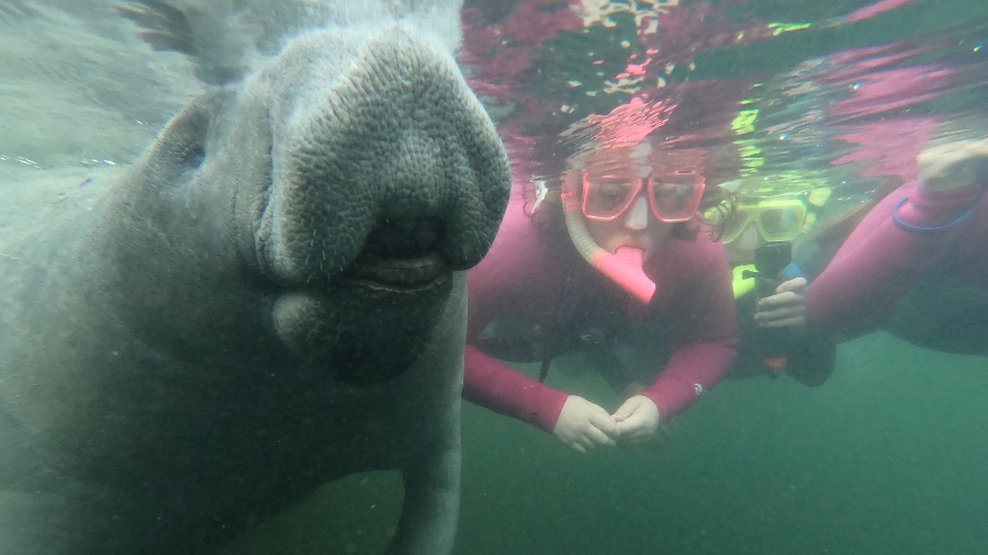 Sea Star Explorations