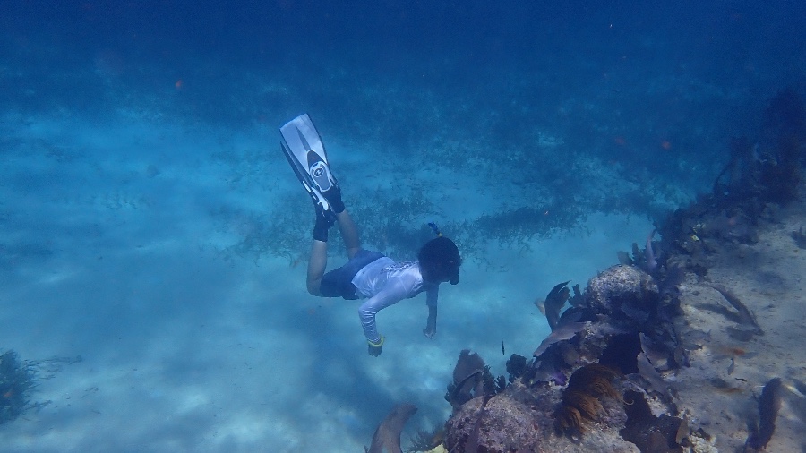 Sea Star Explorations