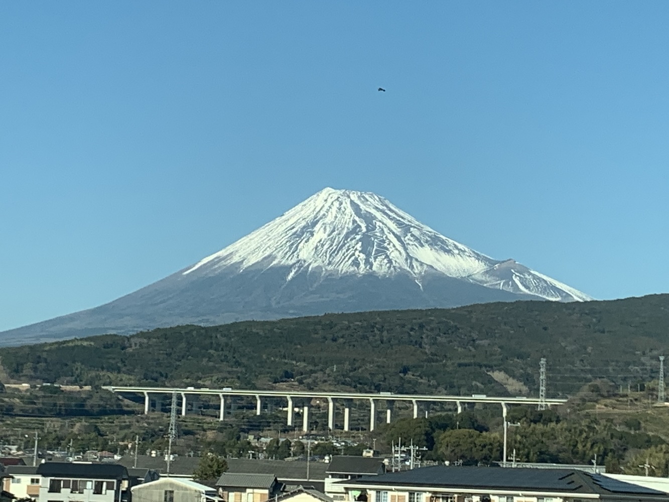 Sea Star Explorations