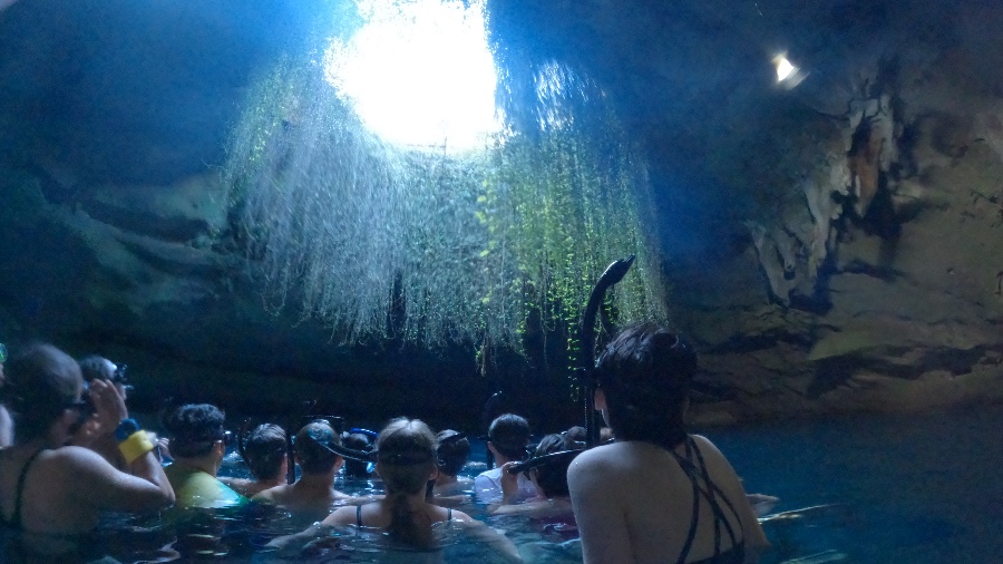 Sea Star Explorations