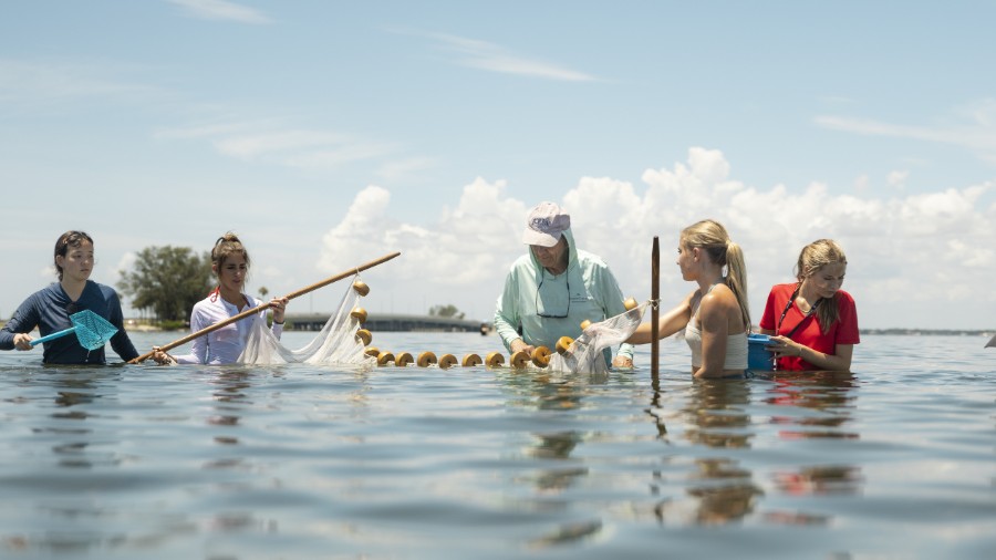 Sharks and Rays Pre-College at Eckerd